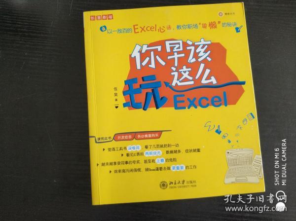 你早该这么玩Excel 伍昊  著 北京大学出版社