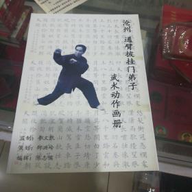 沧州通臂披挂门弟子武术动作画册