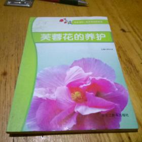 芙蓉花的养护