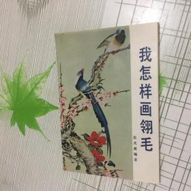 我怎样画翎毛