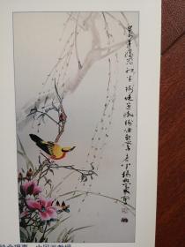 彩铜版美术插页杨懋森国画《黄鹂花鸟》《花鸟图》（单张）