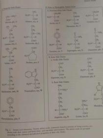 Macmillan Encyclopedia of Chemistry   麦克米伦化学百科全书 (4 Volumes )