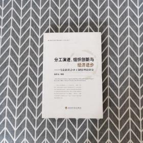 分工演进、组织创新与经济进步：马克思社会分工制度理论研究