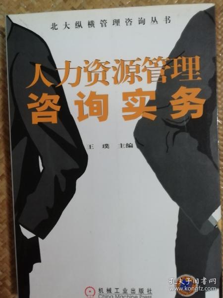 人力资源管理咨询实务