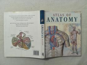 ATLAS OF ANATOMY（英文原版彩色解剖图谱）