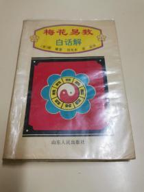 梅花易数•白话讲