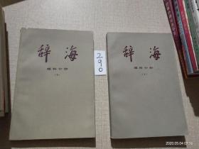 辞海 理科分册 上下册，2本合售