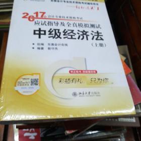 2017年会计专业技术资格考试应试指导及全真模拟测试(未拆封)