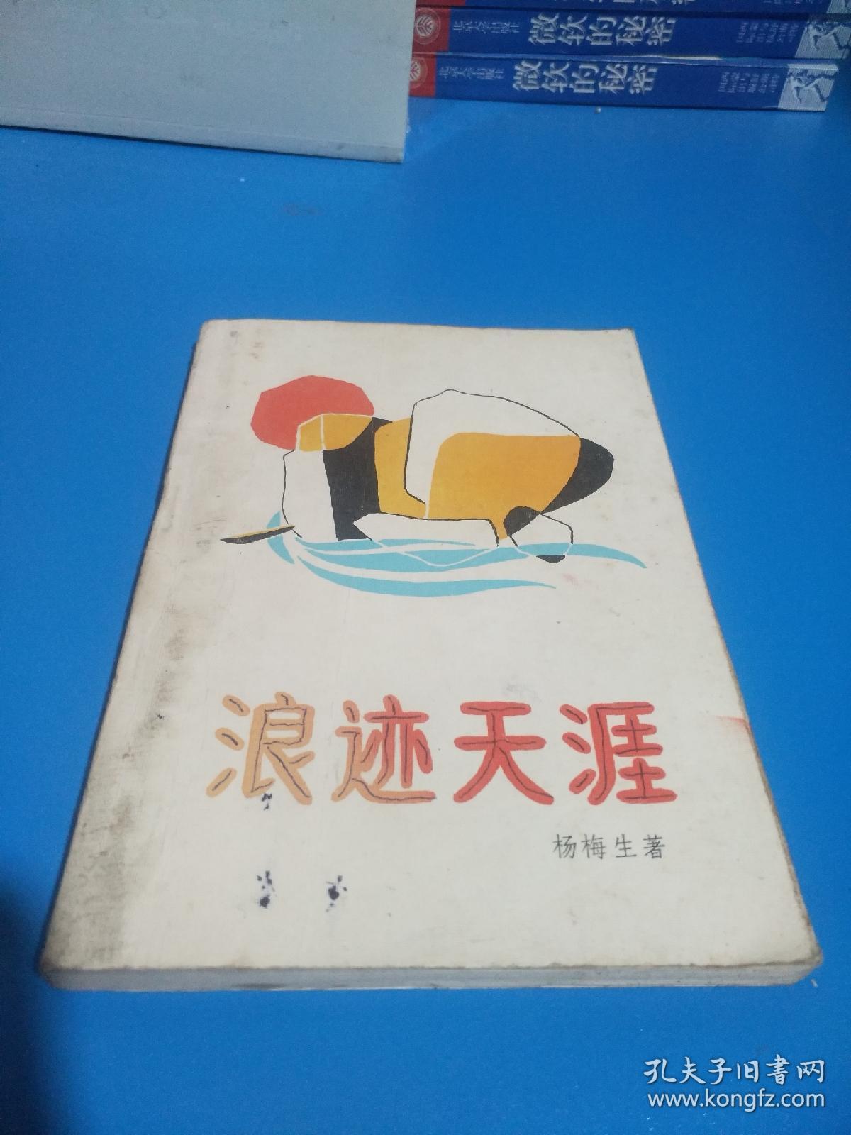 浪迹天涯