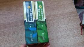 新小学数学竞赛真题分类大全（上下）