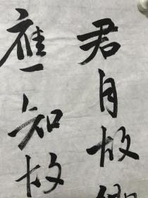 浦佩君：毕业于清华大学美术学院，师从著名书法家王志安先生。中国王铎书法研究院名誉院长。北塬书社社长。自幼习书宗法二王，上溯秦汉，遍临魏碑，尤其于张黑女用功最勤，后在明清诸家中得到启发，形成了自己清新淡雅的书法艺术风格。作品多次在国内大赛获奖并参展，并被日本、法国、德国等个人和机构收藏，h32