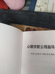 小额贷款公司指导手册