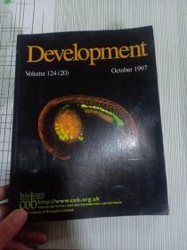 Development  Volume124（20） October 1997