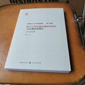 新兴大国交通运输溢出效应与区城经济增长/以中国为例