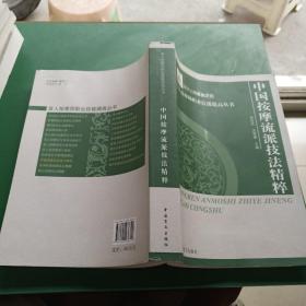 盲人按摩师职业技能提高丛书：中国按摩流派技法精萃（大字本）