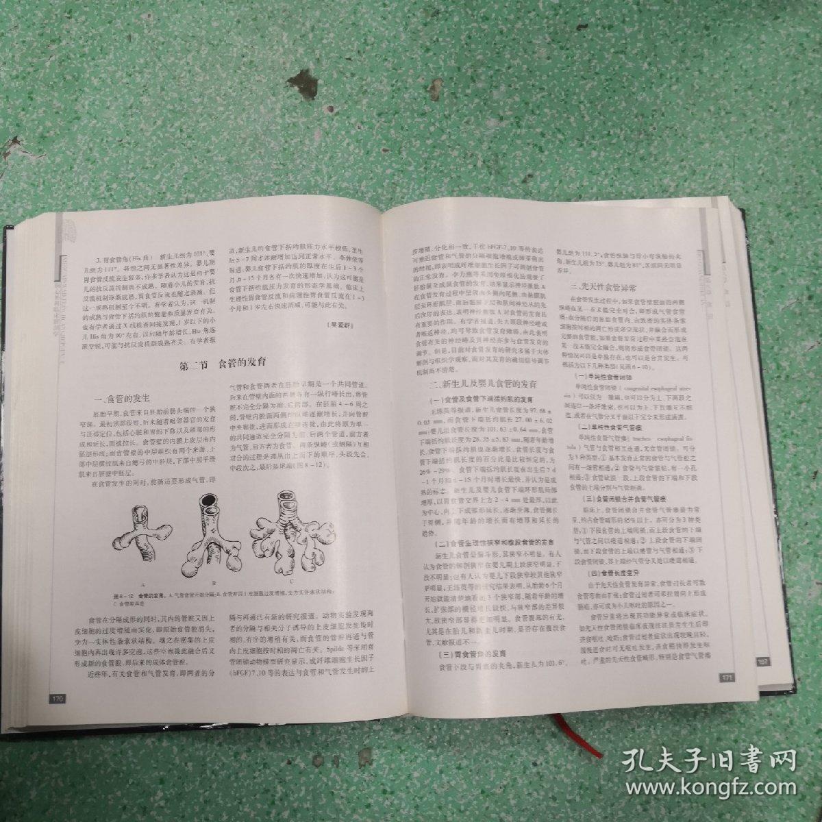 胸心外科临床解剖学书脊有伤看图。
