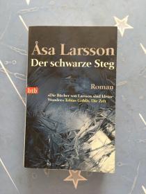 Åsa Larsson Der schwarze Steg