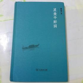 星垂平野阔