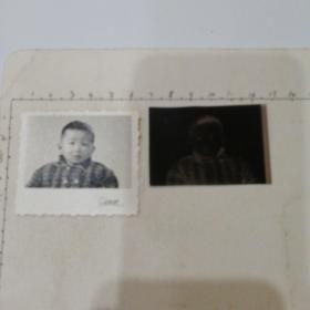 小男孩照片底片各一张