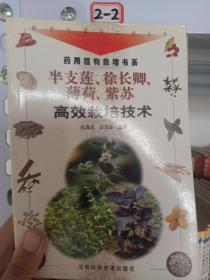 半枝莲、徐长卿、薄荷、紫苏高效栽培技术