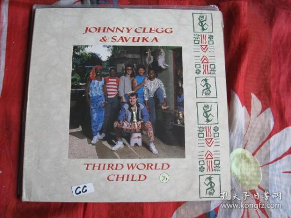 Johnny Clegg & Savuka - Third World Child 民谣 黑胶LP唱片