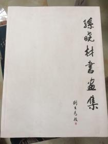 孙晓材书画集