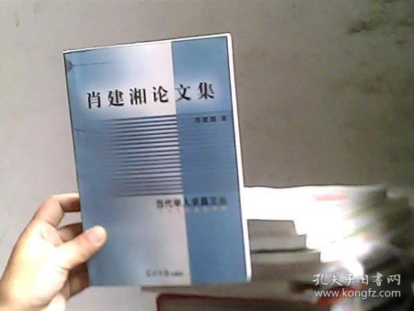 凤凰之子――沈从文传