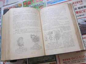 朝鲜文    学生科学小词典   朝鲜原版书