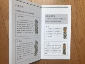 茶文化刊物《中国白茶品品香》（小32开本20页）