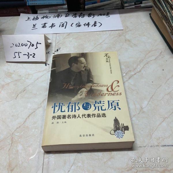 忧郁与荒原：外国著名诗人代表作品选