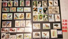 50枚外国猛禽类邮票，票面精美，无重复！请注意图片及说明