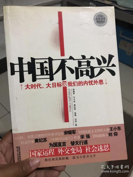 中国不高兴：大时代大目标及我们的内忧外患