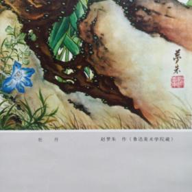 1979年老年画挂历名家画作（王雪涛黄胄程十发钟质夫赵梦朱等名家作品）