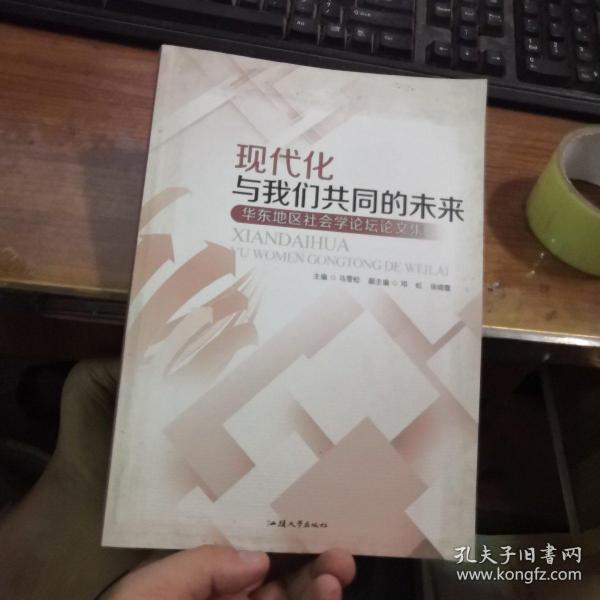 现代化与我们共同的未来