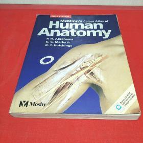 McMinns colour Atlas of Human Anatomy