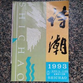 《诗潮》1993年第九、十月号