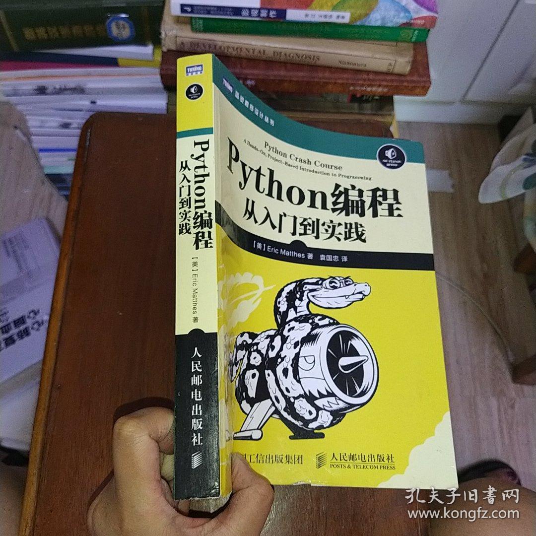 Python编程：从入门到实践