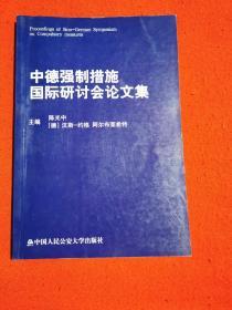 中德强制措施国际研讨会论文集