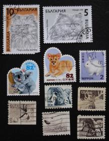 外国邮票-----动物7（信销票/盖销票）