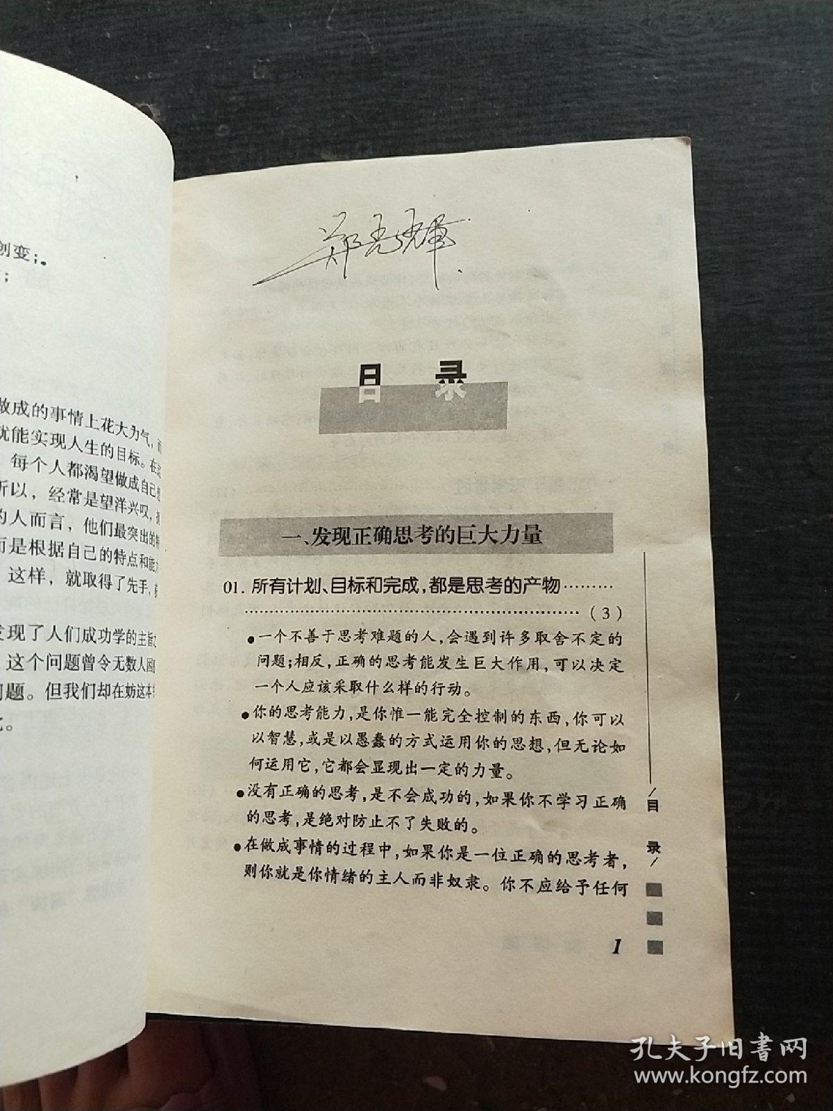 做你能做成的事:发现自己是营造人生的开始