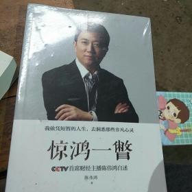 惊鸿一瞥：CCTV首席财经主播陈伟鸿自述