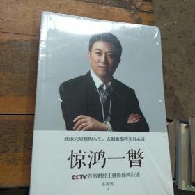 惊鸿一瞥：CCTV首席财经主播陈伟鸿自述