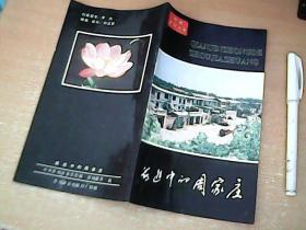 画册：中国乡镇之星：前进中的周家庄  介绍的是河北省晋州市周家庄   时代特色鲜明 【西1】