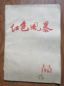 红色风暴 1967年2-3期合刊