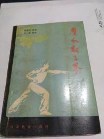 鹰爪翻子拳