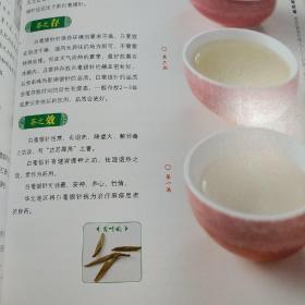 识茶·泡茶·品茶：茶隐老杨说茶道（第3版）铜板彩印纸质