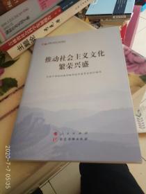 推动社会主义文化繁荣兴盛（全国干部学习培训教材）