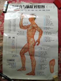 人体经穴与病症对照表（一、二、三）正背侧三张全