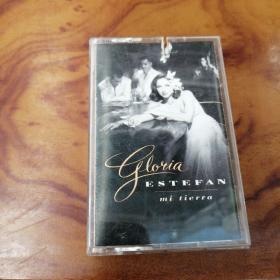 磁带 GLORIA ESTEFAN mi tierra