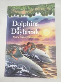 Dolphins at Daybreak (Magic Tree House #9) 神奇树屋系列9：与海豚共舞